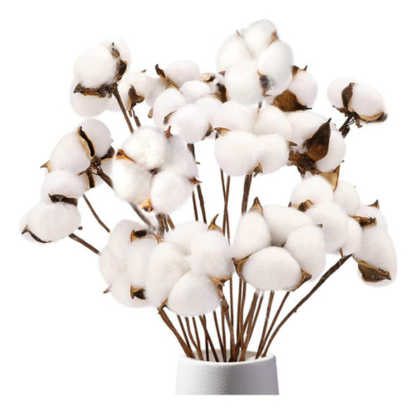 Ramas Algodón, Secado Natural 8 Paq. 15 Bolas Tallos Florale 0