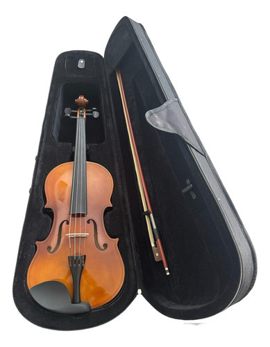 Viola Segovia Va101h1650 Con Estuche Arco Y Resina 16.50 0