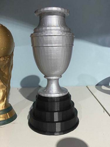 Combo Copa America Y Mundial 1