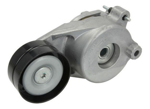 Tensor De Correa Mercedes Benz Calse E W211 0