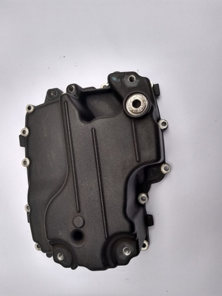 Tampa Carter Triumph Tiger 800 1