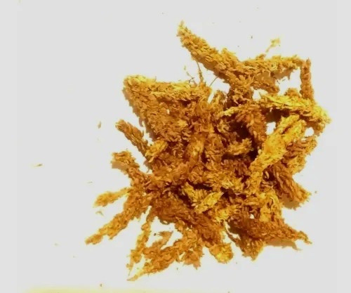 Musgo Sphagnum 5 Lts Hebras Premium Orquideas  - Horus Grow 0