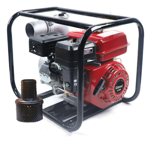 Motobomba Ballena Gianni 9 Hp Con Motor A Nafta De 4 Tiempos 0