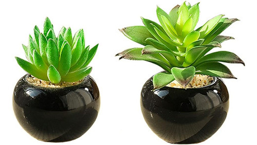 Teensery 2 Mini Macetas Artificiales Plantas Suculentas Con 0