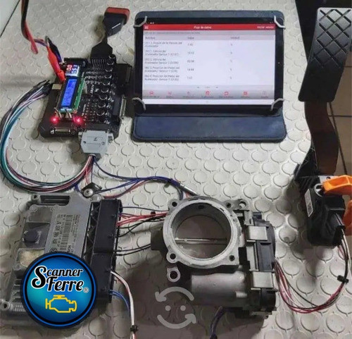 Prueba En Banco Ecus, Hermanado,clonado, Inmo-off. 1