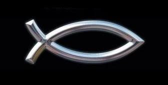 Planta Vallisneria Surtida Promo Por Mundo Acuatico 1