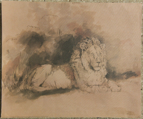 Lámina León 50x60cm Nektararte 0