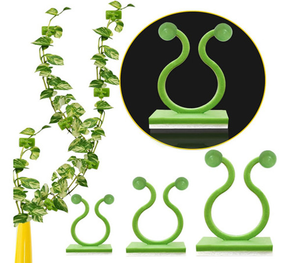 110 Clips Invisibles Para Plantas Trepadoras 0 110 Clips Invisibles Para Plantas Trepadoras 0