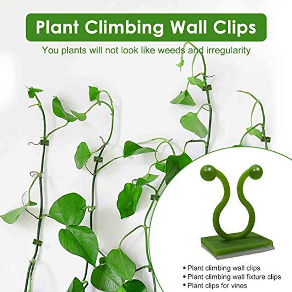 110 Clips Invisibles Para Plantas Trepadoras 1 110 Clips Invisibles Para Plantas Trepadoras 1