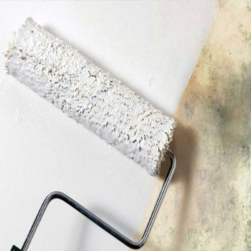 Pintura Interior Antihongo Antimoho Perma White Satinado 4lt 1