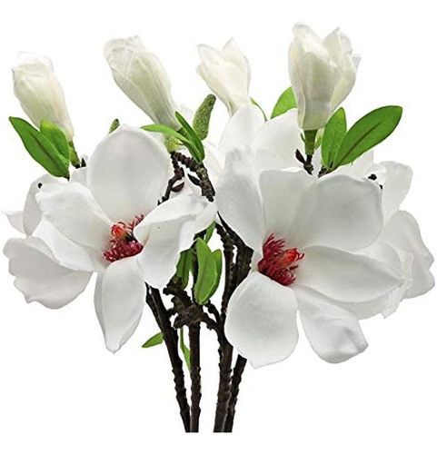 ~? Minyulua 5 Uds Flores De Magnolia Artificiales Flores De 0