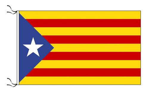 Bandera Catalunya Independentista 90 X 150cm Cataluña 0