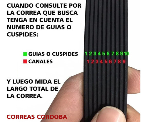 Correa Para Caminador Eliptico J180 (457mm) 6 Guias Gates 1