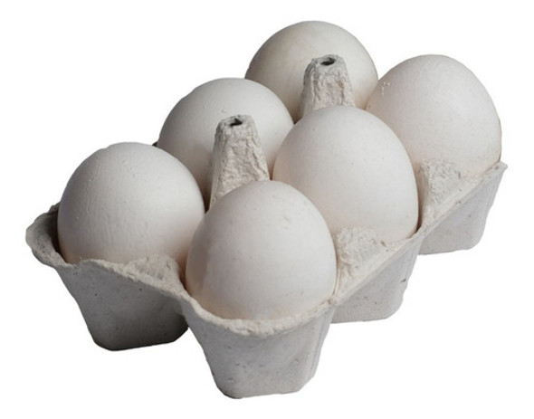 Huevos Blancos De Campo 6u. 0