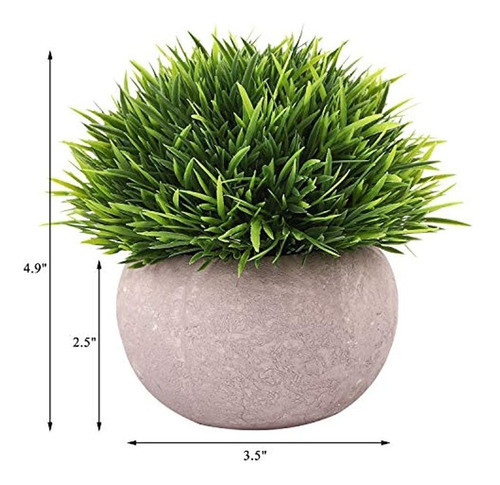 Cewor 4 Pack Mini Plantas Artificiales Mini Plantas Plantas 1