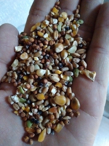 Mezcla Paloma X 10 Kg - Animal Brothers - 0