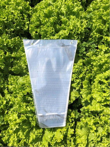 Embalagem Cônica 17x32x38 Para Alface Hidropônica 1.000 Uns 1