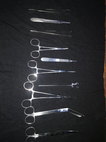 Set De Tijeras Para Veterinaria Marca Meb 0
