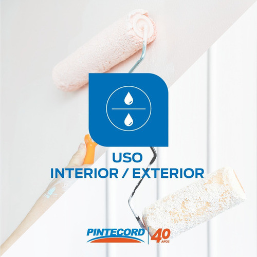 Pintura Latex Int/ext Acryfix Pintecord Profesional 20 Lts 1