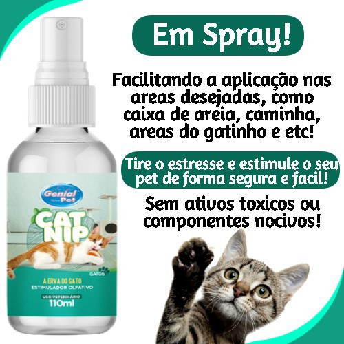 Shampoo Anti Pulgas + Cat Nip Para Felinos Gatos 1