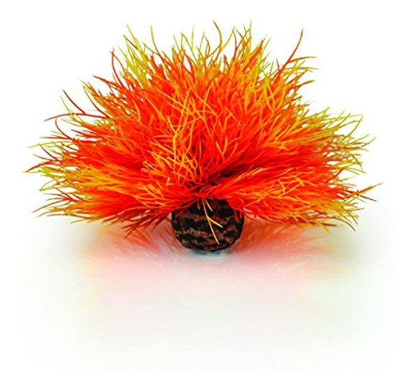 Biorb 460850 Aquatic Sea Lily Orange Aquariums 0 Biorb 460850 Aquatic Sea Lily Orange Aquariums 0