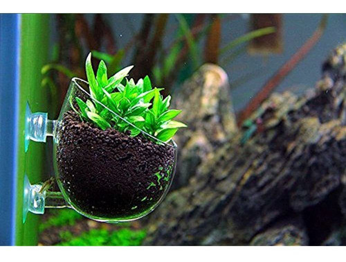 Tfwadmx Plant Pot Aquarium Decor Copa De Planta Acuatica Co 1