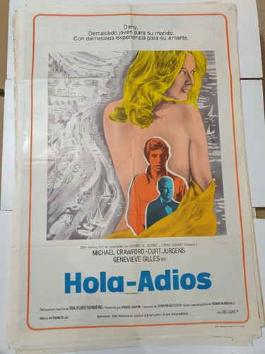 Afiche De Cine Original-hola- Adios-1762 0