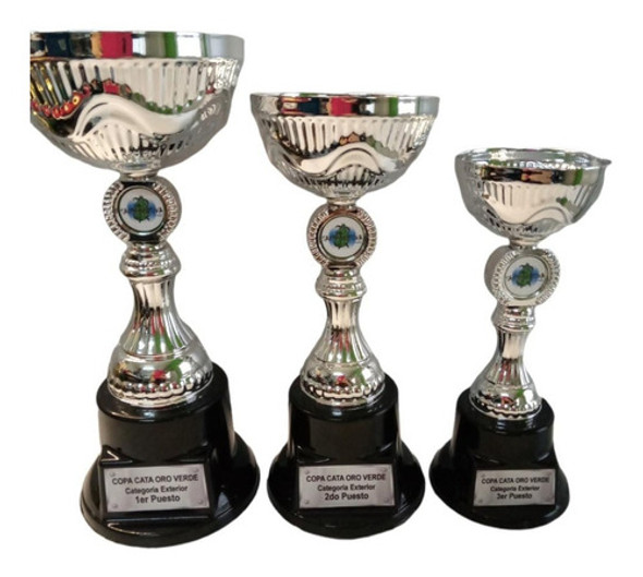 Terna Copa Premio Trofeo Modelo Andina Metal 21-25-27,5 Cm 0