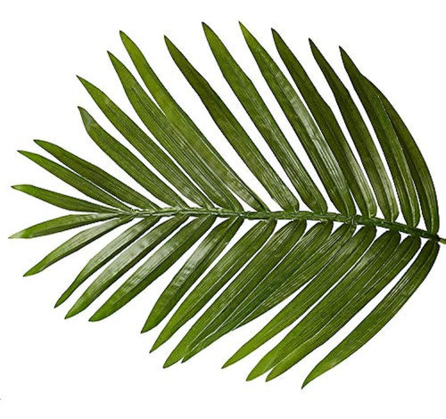 Amerique Beautiful Y Unique 5 Pies Tropical Palm Artificial 1