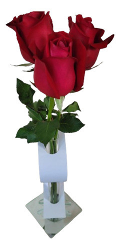 Vaso Solitário Para Flor E Arranjos 0