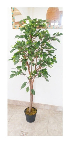 Arbol Ficus Semi Artificial 0