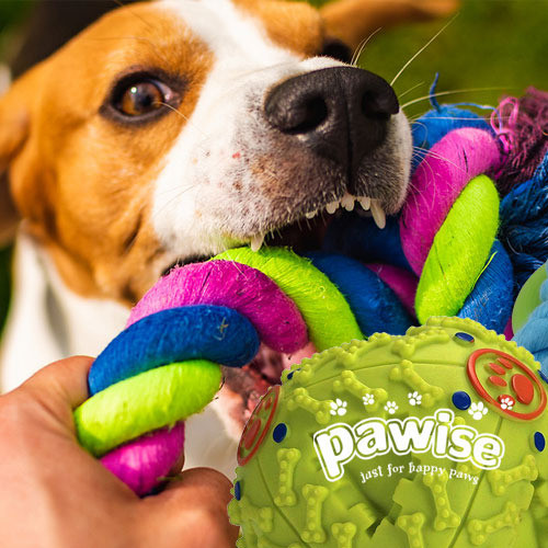 Brinquedo Para Cães Pawise Resistente Corda 12- Colorida 1