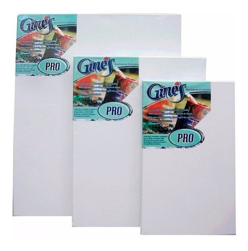 Bastidor Entelado Profesional Puro Algodon 80x100.gines Pro 0