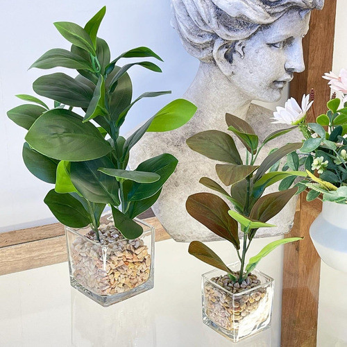 Planta Euphorbia Artificial Maceta Vidrio Alto 27cm 1