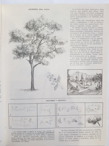 Libro Cuaderno Estudio N.23 Arboles 1
