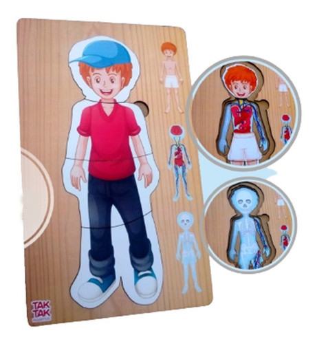 Rompecabezas Cuerpo Humano En 4 Capas Huesos Organos Tk 0