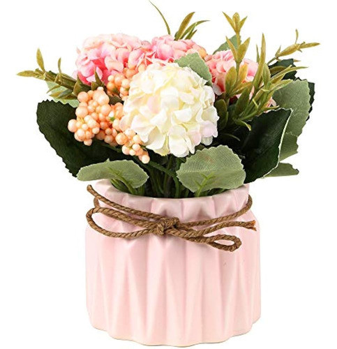 Hogar Y Cocinaproductos De Decoración Del Hogarplantas Y F 0