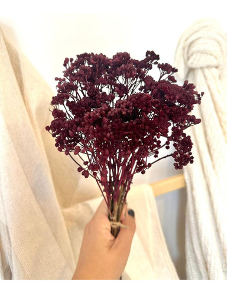 Ramo Flores Secas Achilea Bordo Disecadas 1