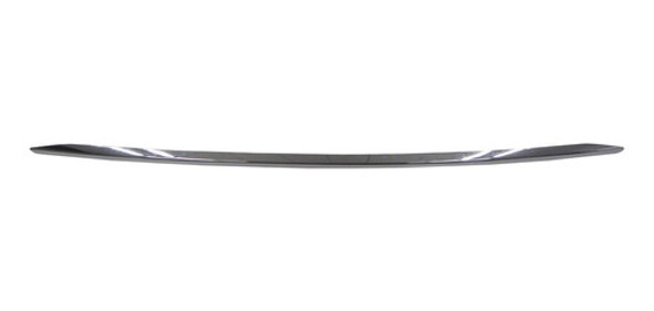 Moldura Inferior Paragolpe Delantero 0