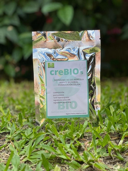 Crebío 5 Bionsecticida Moscas Blancas Con Isaria Javanica 1