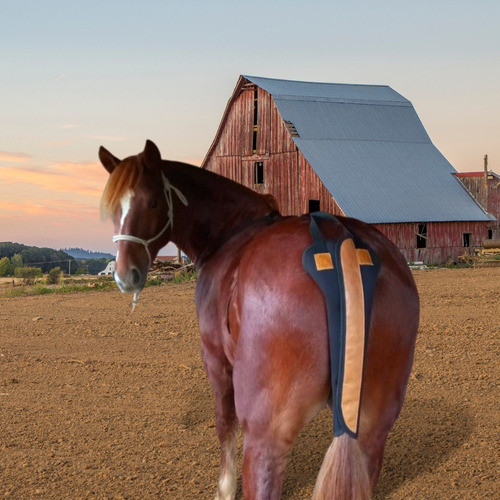 Protetor De Rabo E Cola De Cavalos Para Viagens Em Neoprene 1