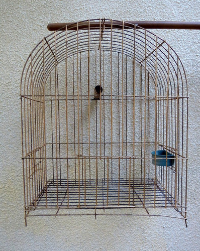 Jaulon Para Loro O Aves Grandes 60 X 45 X 30 Cms 0