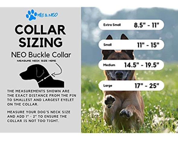 Correa Max Y Neo Para Perros Con Hebilla De Nailon Reflectan 1