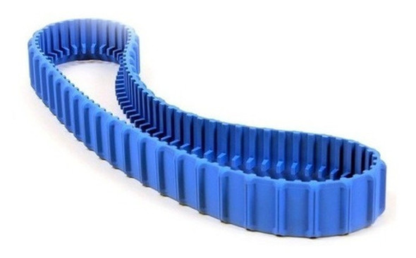 Correa Oruga Dolphin S200 / S300i (ing Maschwitz) 0