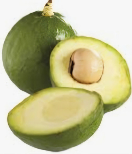 Arbol De Palta 0