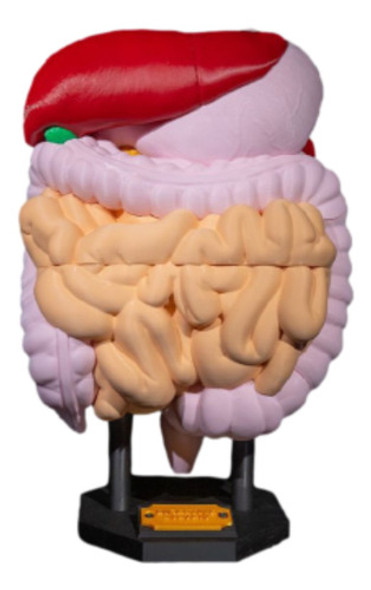 Sist. Digestivo Humano 0