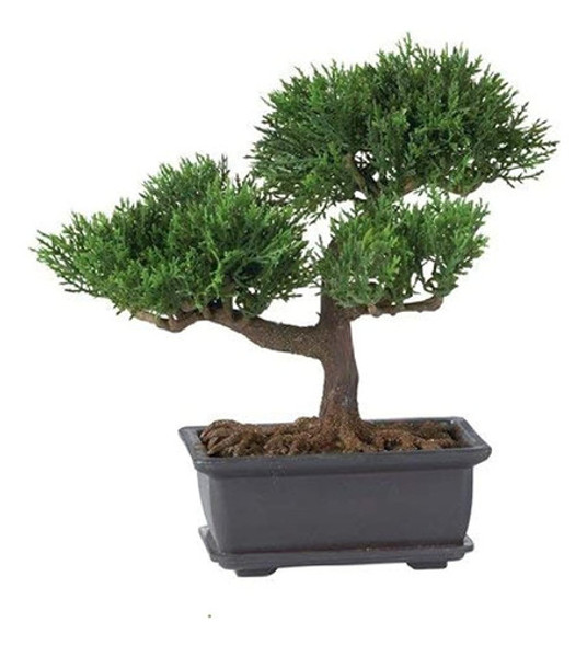 Casi Natural 4122 8.5in. Colección De Plantas De Seda Bonsai 1