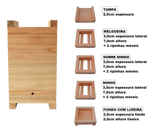 Kit 3 Caixas Abelhas Jataí Asf Inpa Eucalipto 12x12cm 3cm 1
