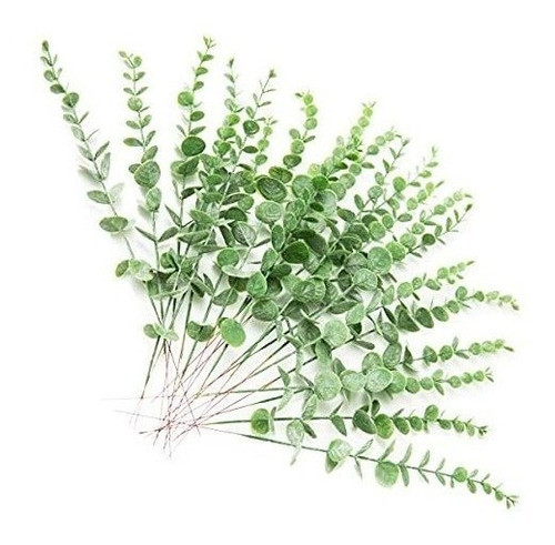 Ramas Artificiales De Eucaliptus X30u. Verde Polvoriento 0