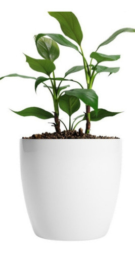 Maceta Nordica N 17 Blanca / Colores 0